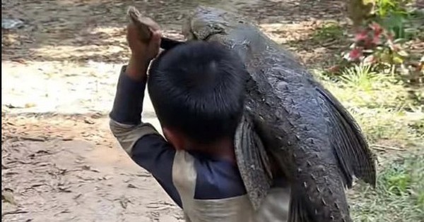 Cậu bé 5 tuổi gồng mình vác con 