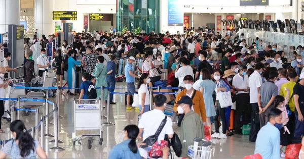 Thông tin người mua vé máy bay dịp Tết Nguyên đán Bính Ngọ 2026 cần chú ý