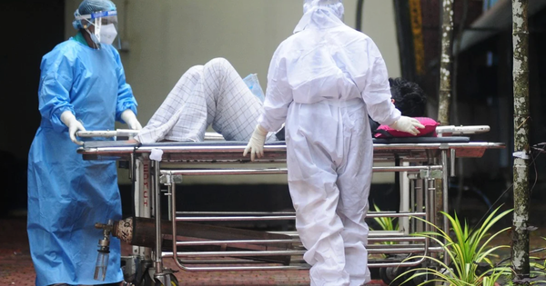 Trung Quốc lo ngại virus Nipah độc lực cao bùng phát trước Tết Nguyên đán