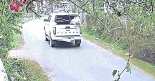 Trả lại con lợn 100 kg rơi giữa đường cho tài xế