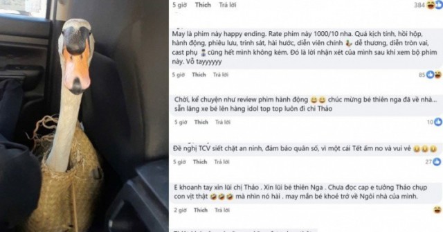 Vụ trộm thiên nga ở Thảo Cầm Viên: Dân mạng đòi dựng thành phim điện ảnh