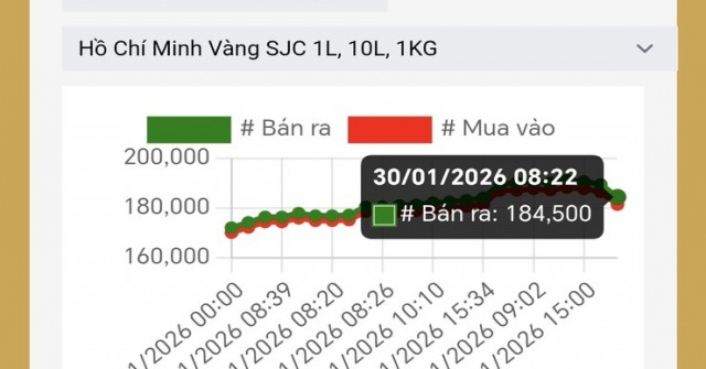 Người dùng Google đổ xô cập nhật 