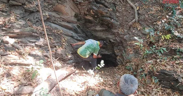 Gia súc liên tục mất tích, dân làng hoang mang kéo đi tìm con lươn 800 năm tuổi