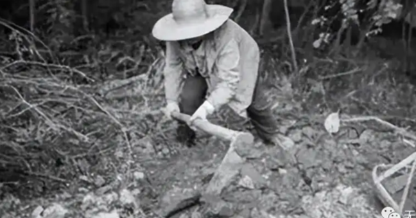 Người nông dân bất ngờ đào được con rắn đen mắt đỏ, chuyên gia một mực khẳng định là rồng: Sự thực là gì?